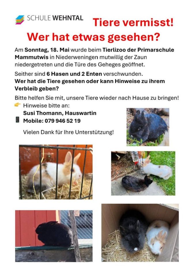 Die Hasen und Enten fehlen den Kindern sehr. hasen