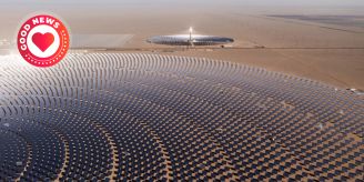 Dank Erneuerbaren - Chinas Emissionen sinken erstmals Dank Erneuerbaren - Chinas Emissionen sinken erstmals