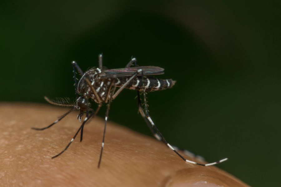 chikungunya impfstoff ixchiq
