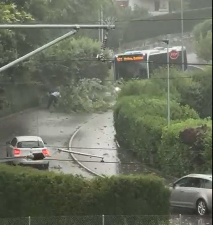Augenzeugin S. H.* hätte Hilfe von den Autofahrenden erwartet. Chauffeur