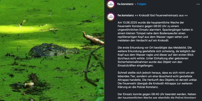 Am Bodensee kam es zu einem ungewöhnlichen Einsatz. bodensee
