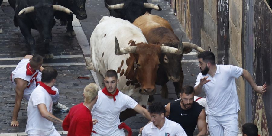 stierlauf pamplona