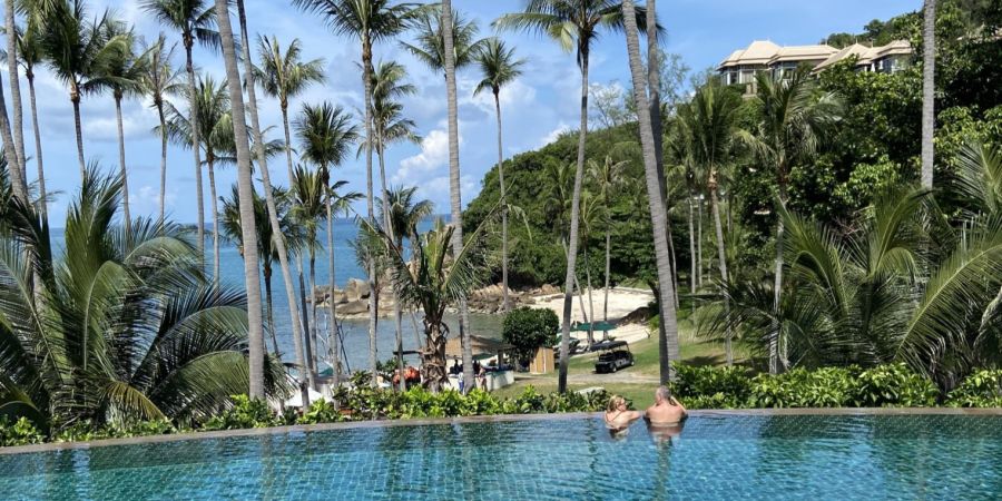 Pool Palmen Meer Hang