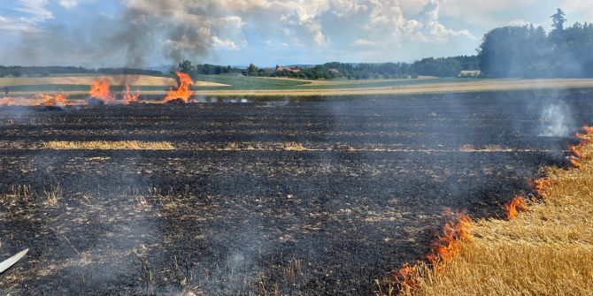 Brand in Hörhausen