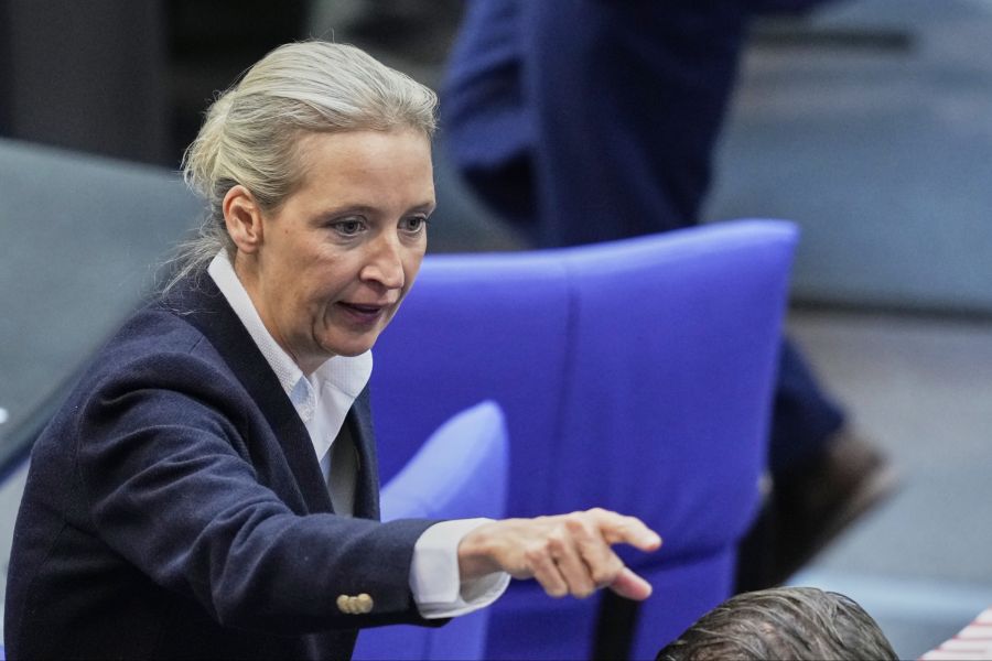 Von einer geschwächten Regierung könnte naturgemäss die Oppositionspartei AfD profitieren.