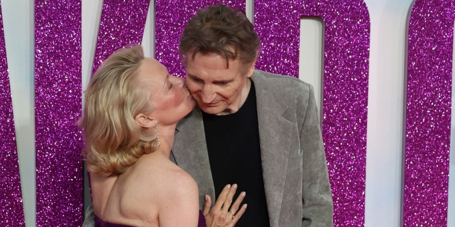pamela anderson liam neeson