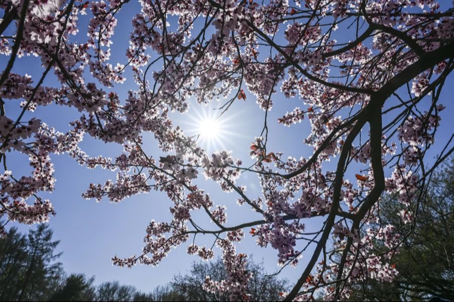Der Samstag wird grösstenteils sonnig und trocken mit nur wenigen Restwolken.