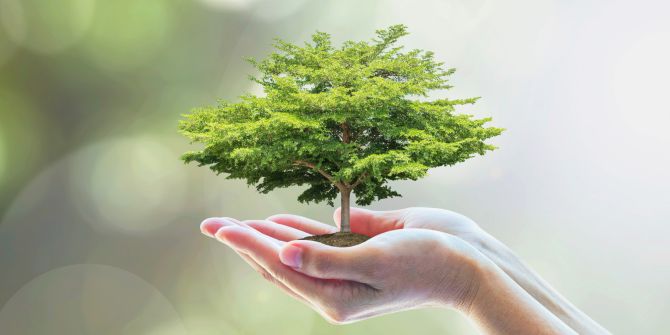 Baum auf Händen