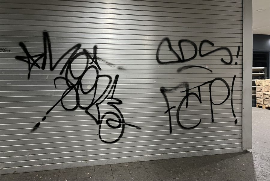 Die Sprayer verursachten Sachschaden.
