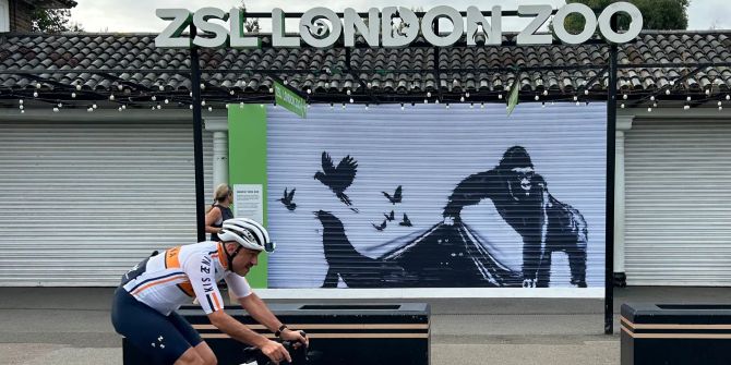 Banksy-Kunstwerk vor Londoner Zoo durch Replik ersetzt