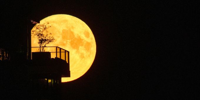 Gross und hell - Supermond strahlt am Nachthimmel