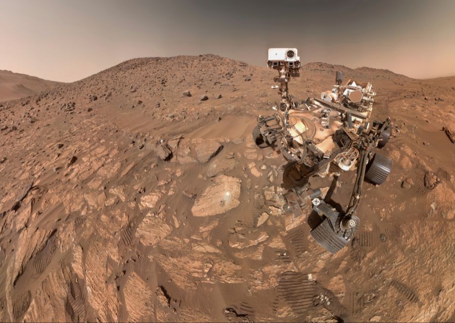 leben mars