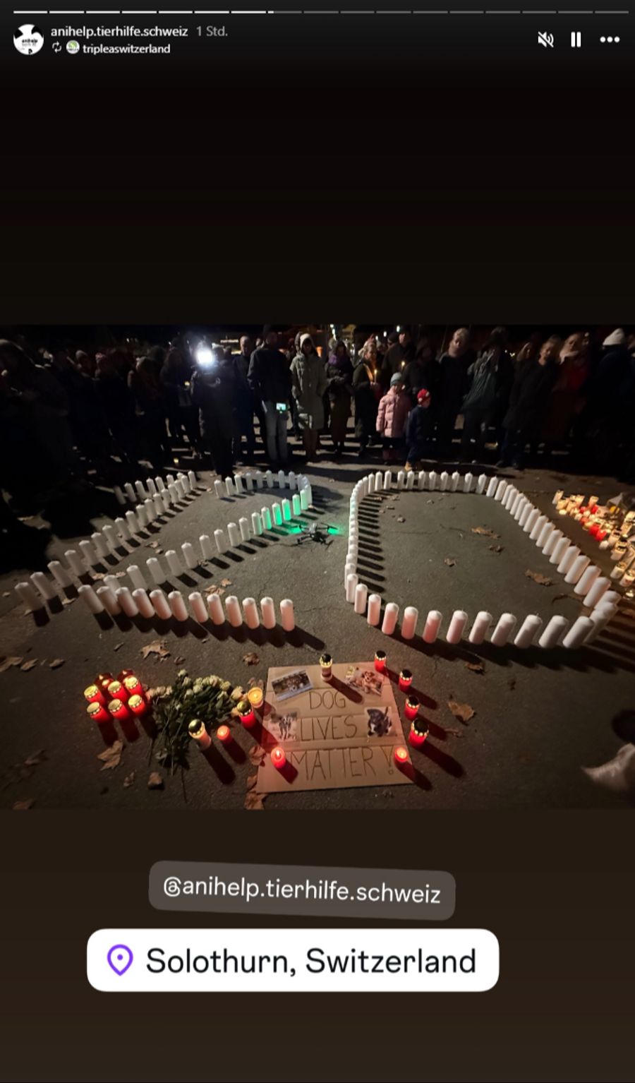 120 weisse Kerzen wurden aufgestellt und angezündet, während der Opfer gedenkt wurde.