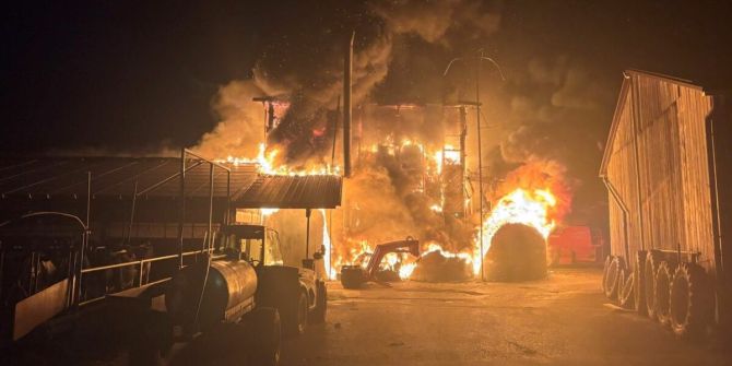 Brand
