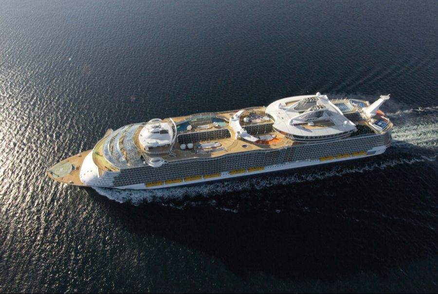 Die vierfache Grossmutter Dulcie White stürzte im Oktober 2024 von der «The Allure of the Seas».