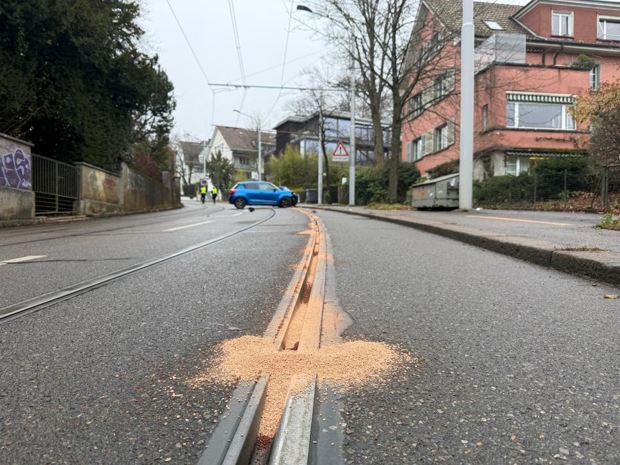 Die Stasse musste gesperrt werden. Der Tramverkehr vom und zum Zoo Zürich ist seit dem Unfall unterbrochen.