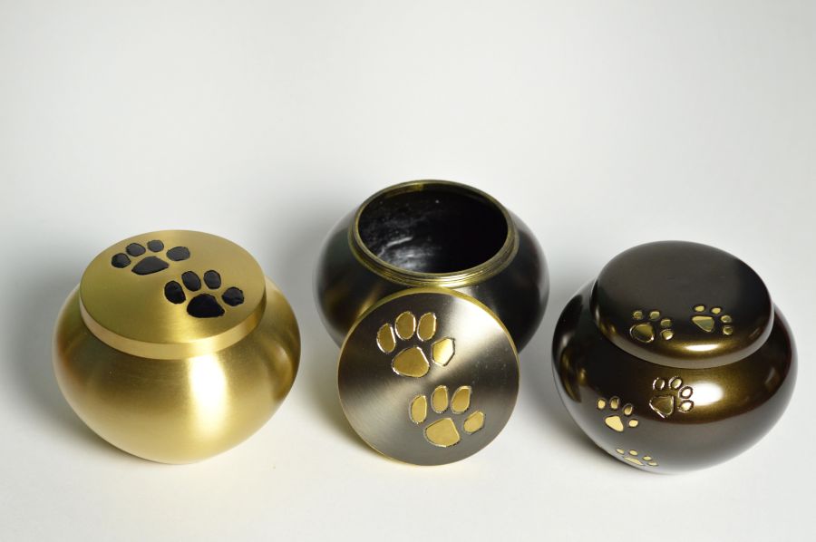 Urne gold schwarz pfotenabdruck