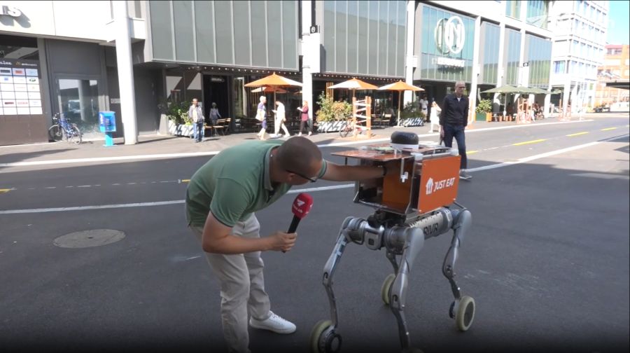 Roboter-Hund