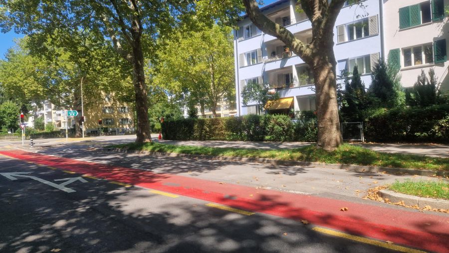 Der Vorfall ereignete sich an der Tellstrasse, gleich vor der Kreuzung zur Winkelriedstrasse in Bern Breitenrain.