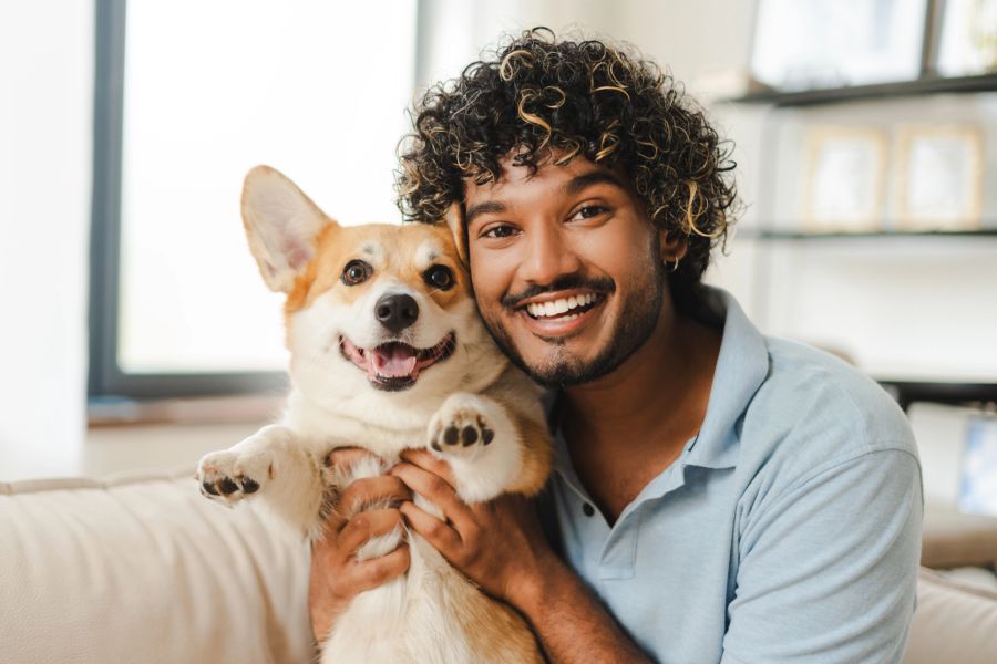 hund haare wohnung