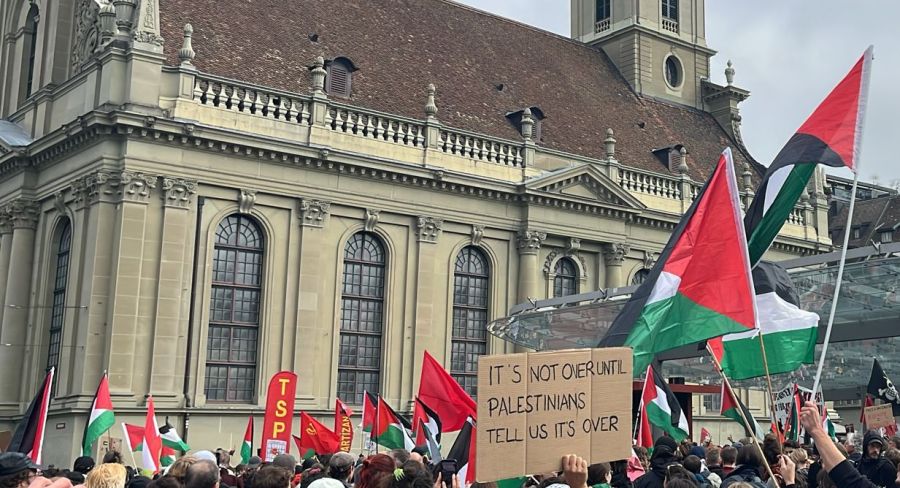 Viele Demonstrierende haben Fahnen und Schilder dabei.