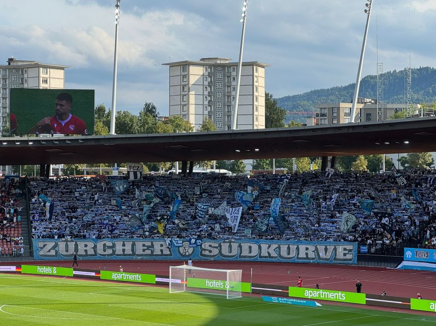 Für die Zürcher Südkurve ist das Gezeigte schwer mitanzusehen.