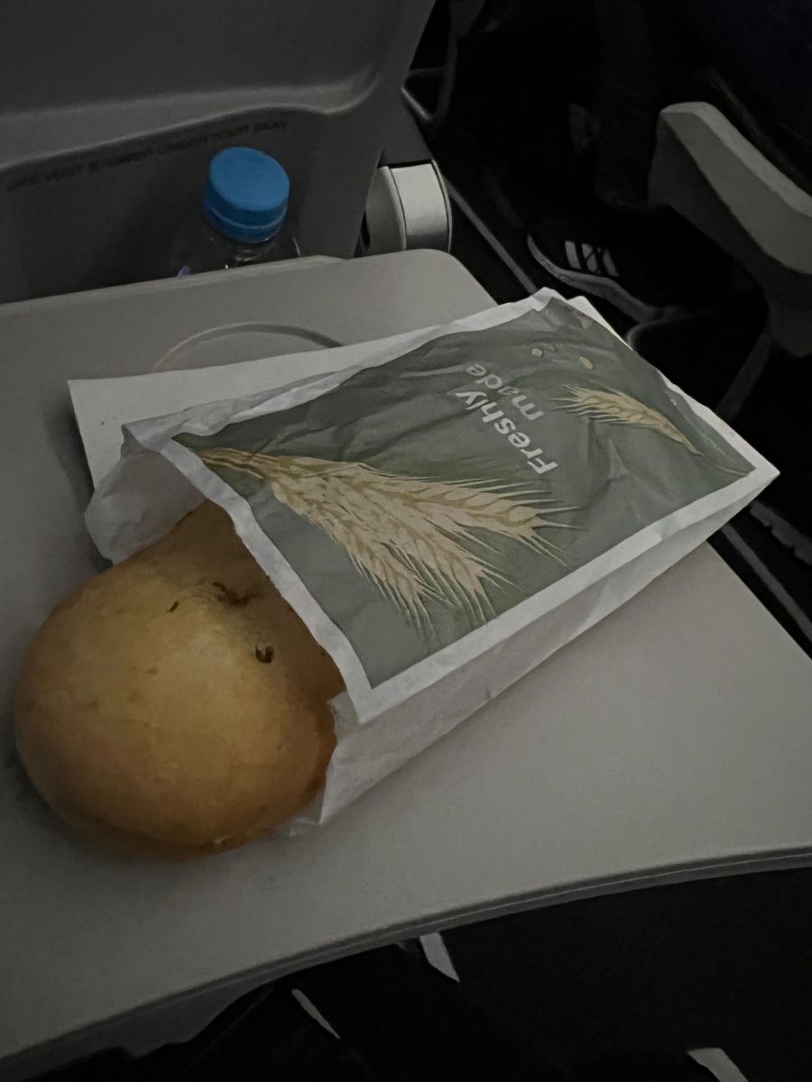 Vom Käsesandwich nahm der Zürcher Passagier keinen Bissen.