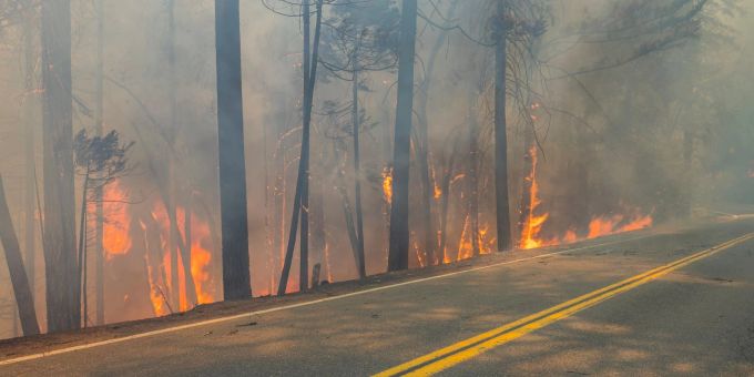 Ein Waldbrand in Südkalifornien hat mindestens 132 Häuser und andere Gebäude zerstört und 88 weitere beschädigt, so die Behörden. (Symbolbild) Waldbrand