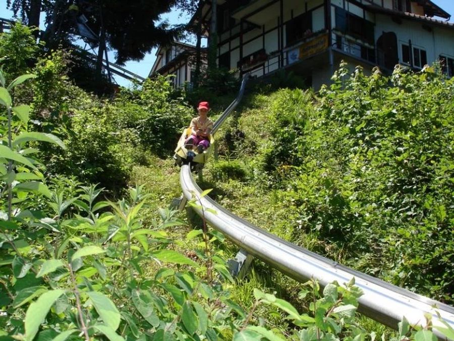 heimwehfluh rodelbahn