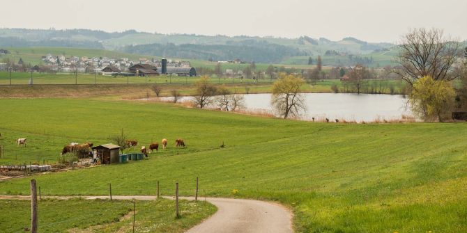 Egolzwil LU