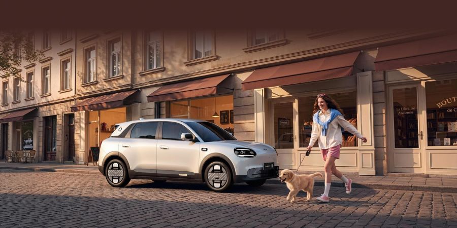 Chery Q