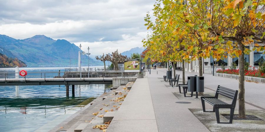 Brunnen SZ