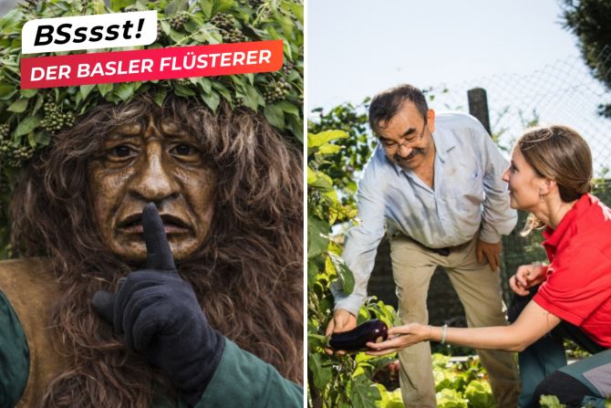 basler flüsterer