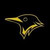 ASVZ Blackbirds Flag Football