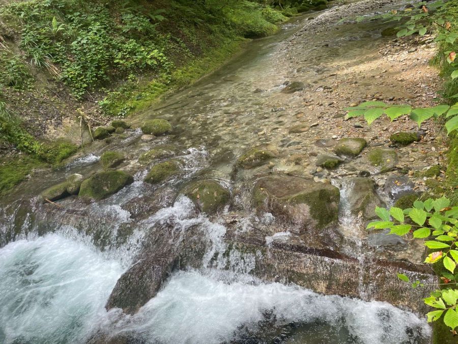 Wasserversorgung Goldingen-Meilen