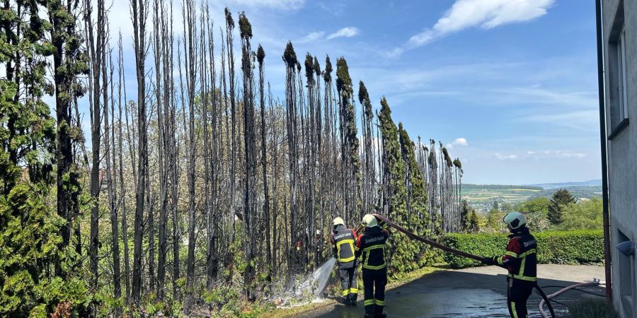 Heckenbrand in Leutwil.