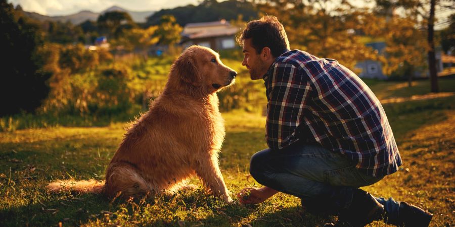 Hund und Mensch im Freien