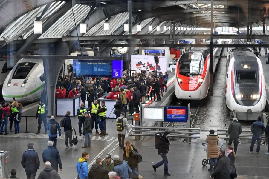 Die europäischen Bahnen hätten keine einheitlichen Tarife und auch kein gemeinsames Reservierungssystem. Das bereite dem externen Anbieter Schwierigkeiten.