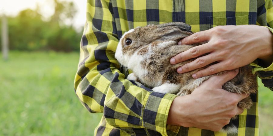 Mann mit Kaninchen