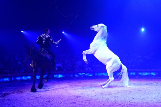 Die Premieren-Show des Circus Knie in Zürich begeisterte das Publikum. circus knie