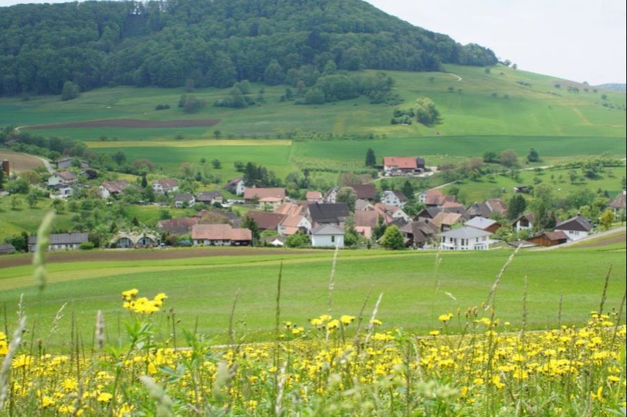 So verzeichnete im Kanton Aargau die überschaubare Gemeinde Mettauertal, mit gut 2100 Einwohnenden, den höchsten Preisanstieg.