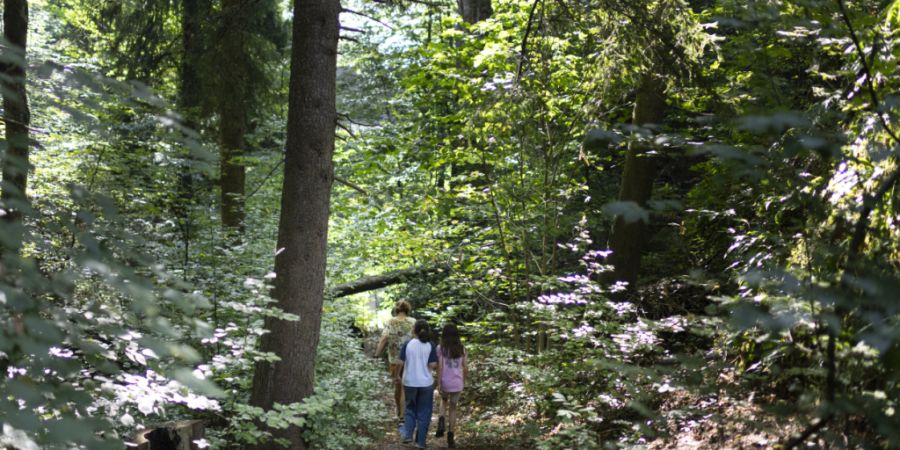 In den Wäldern des Kantons St. Gallen gilt Waldbrandgefahrenstufe 4 und deshalb ein Feuerverbot. Im Bild Kinder einer Schulklasse in der Nähe der Rudolf Steiner Schule.
