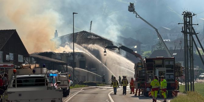 Brand Uri