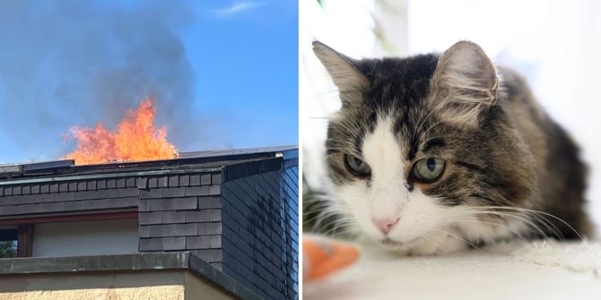 brand in baselland