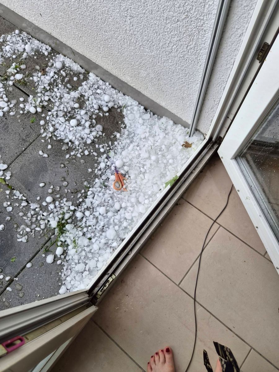 Als hätte es geschneit: Bilder aus Bülach ZH.