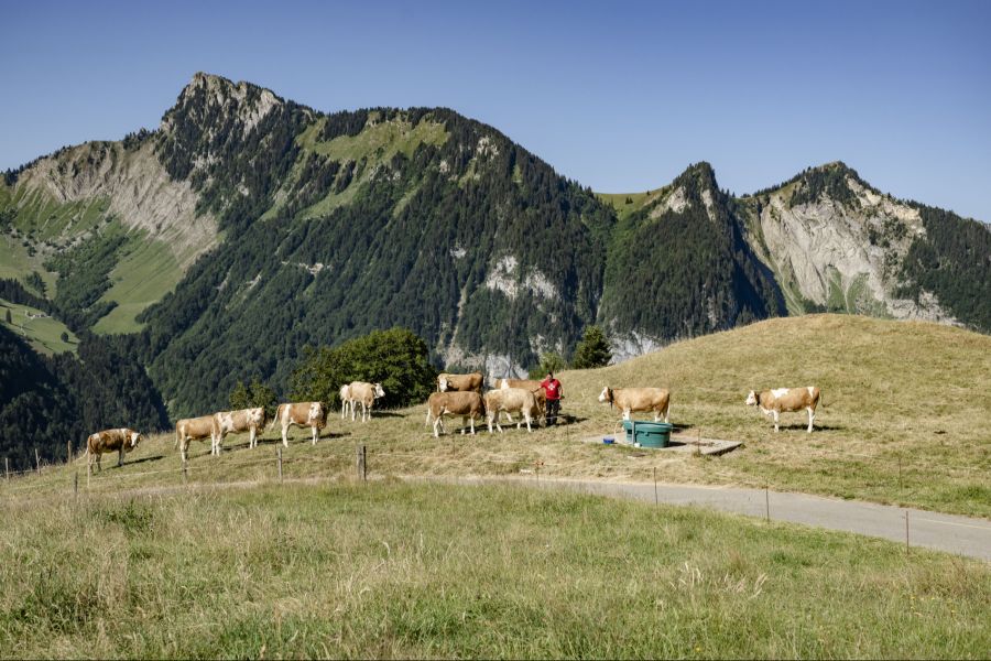 Die Hitze setzt den Schweizer Bergen zu.
