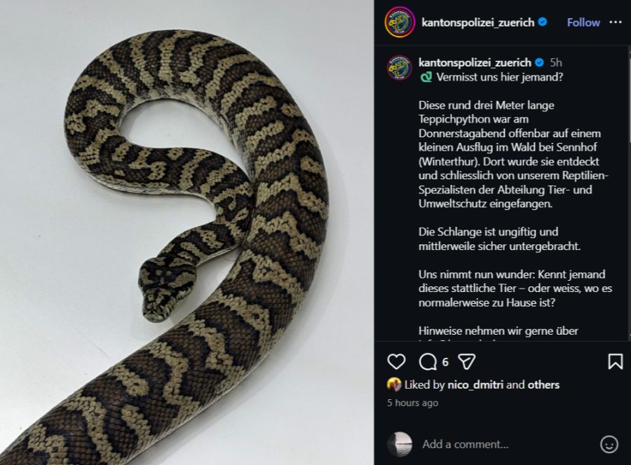 Kantonspolizei Zürich Python