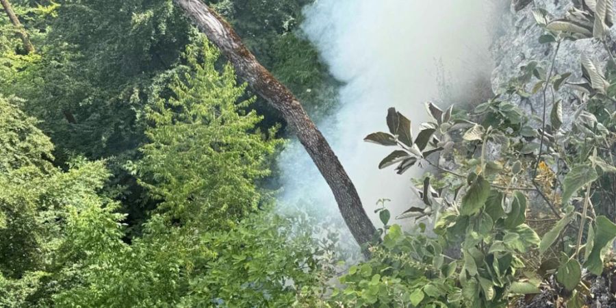 Ein Flurbrand auf dem Lägerngrat bei Ennetbaden und Wettingen im Kanton Aargau hat am Mittwoch einen Einsatz der Feuerwehr ausgelöst.