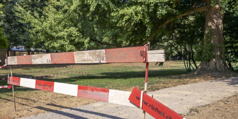 Wegen der Gefahr von herabfallenden Ästen als Folge der Trockenheit musste in Riehen (BS) ein Park gesperrt werden. (Archivbild)