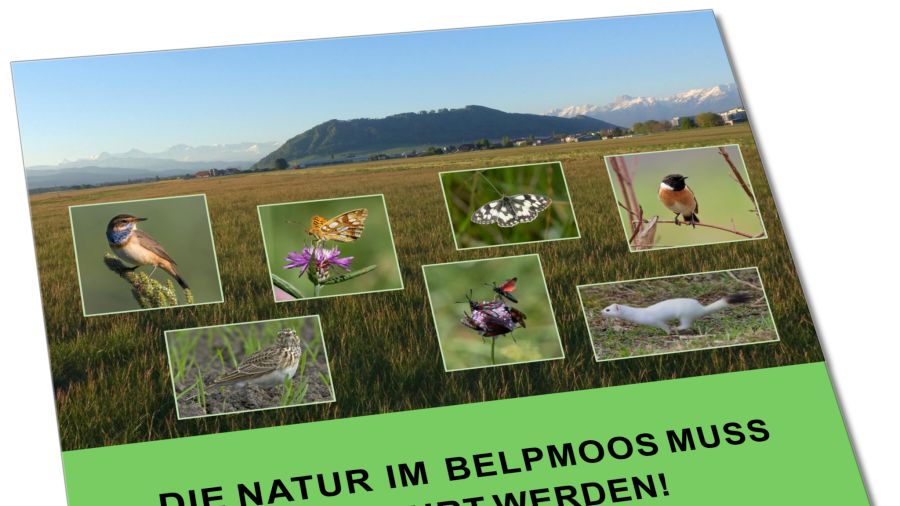 Natur Belpmoos BelpmoosSolar
